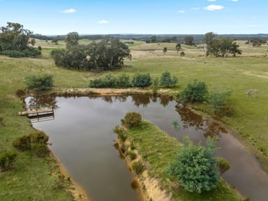 Property 595 Providence Gully Road, Sandon VIC 3462 IMAGE 0