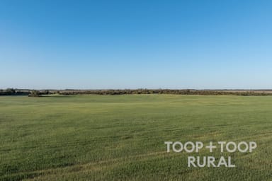 Property Lot 499 Murbko Road, Murbko SA 5320 IMAGE 0