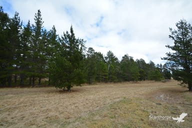 Property Lot 225 Sunrise Drive, Sugarloaf QLD 4380 IMAGE 0