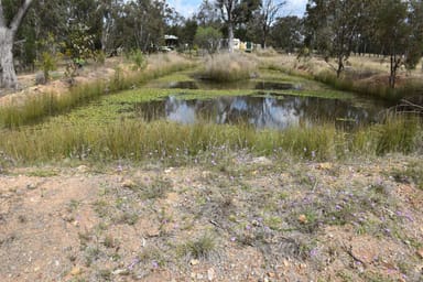 Property Lot 5, 0 South Street, Leyburn QLD 4365 IMAGE 0