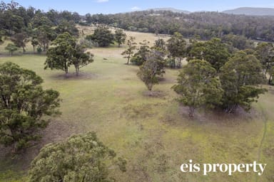 Property 369 Green Valley Road, BAGDAD TAS 7030 IMAGE 0