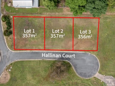 Property 1-3 Hallinan Court, WALWA VIC 3709 IMAGE 0