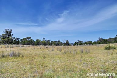 Property Lot 1 Bresnehans Road, Little Swanport TAS 7190 IMAGE 0