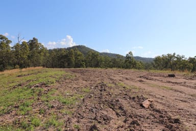 Property Lot 41 Collombatti Road, Collombatti NSW 2440 IMAGE 0