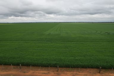 Property C/A 12 & 13 Elmore-Mitiamo Road, MILLOO VIC 3572 IMAGE 0