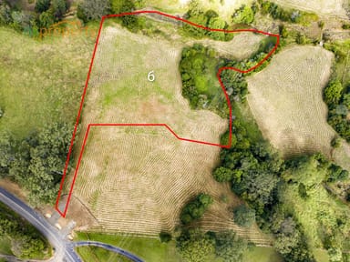 Property Lot 6 -14 Irvines  Road, Newee Creek NSW 2447 IMAGE 0