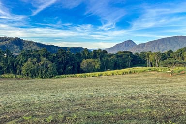 Property 68, Fairweather Access, Goldsborough QLD 4865 IMAGE 0