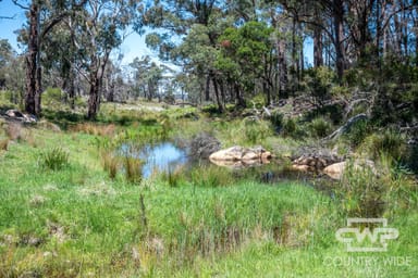 Property 11, Ten Mile Rd, DEEPWATER NSW 2371 IMAGE 0