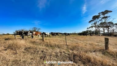 Property 8102 South Gippsland Highway, Alberton VIC 3971 IMAGE 0