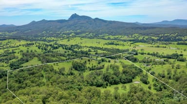 Property 328 Back Creek Road, Back Creek NSW 2484 IMAGE 0