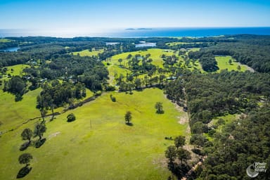 Property Proposed Lots 2-12, 81 Wonga Road, NAROOMA NSW 2546 IMAGE 0