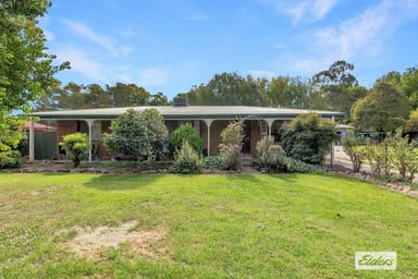 Property 143 Hawkins Street, Howlong NSW 2643 IMAGE 0