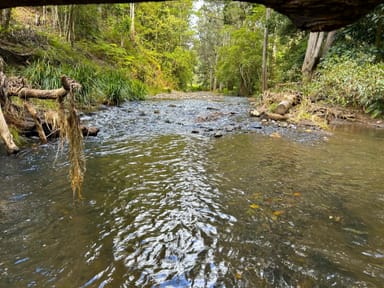 Property 537 Horseshoe Creek Rd, Kyogle NSW 2474 IMAGE 0