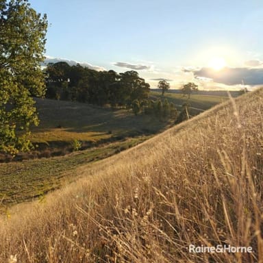 Property 156 Metcalfe-Redesdale Road, Metcalfe VIC 3448 IMAGE 0