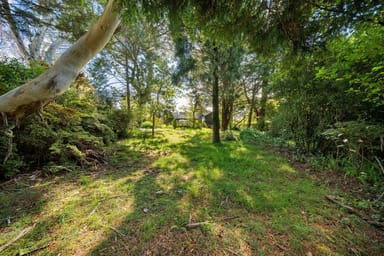 Property 10 Evans Lookout Road, Blackheath NSW 2785 IMAGE 0