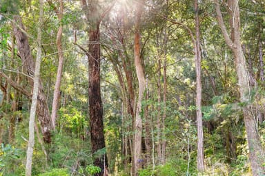 Property 20 James Norton Road, Bensville NSW 2251 IMAGE 0