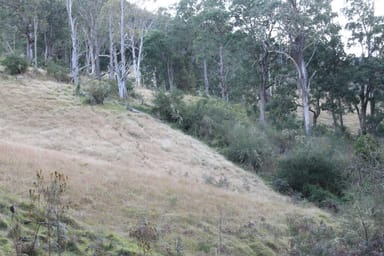 Property Lot 2 Off Neringla Road, BRAIDWOOD NSW 2622 IMAGE 0