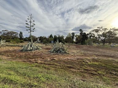 Property GUNNINGBLAND NSW 2876 IMAGE 0