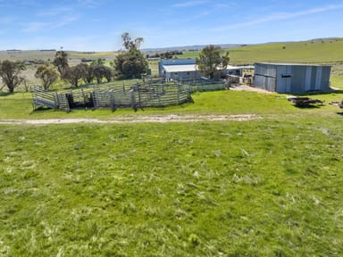 Property Lot 206 Delegate Road, DELEGATE NSW 2633 IMAGE 0