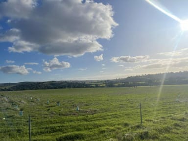 Property Alment, 27 Wirrabara-Appila Road, Wirrabara SA 5481 IMAGE 0