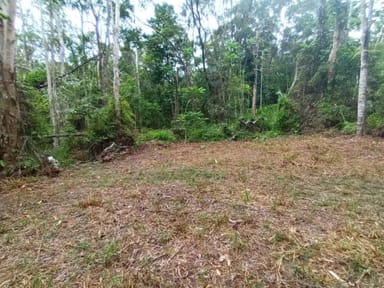 Property Lot 45 Ronald Road, Forest Creek, DAINTREE QLD 4873 IMAGE 0