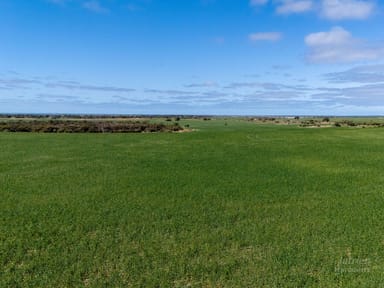 Property Sect. 217 Old Saltworks Road, WAROOKA SA 5577 IMAGE 0