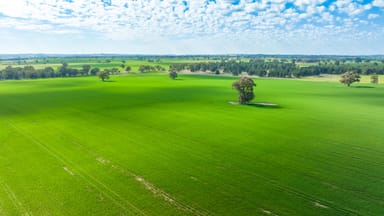 Property 'Part Glenmoira', 524 Munyaplah Settlement Rd, Alma Park NSW 2659 IMAGE 0