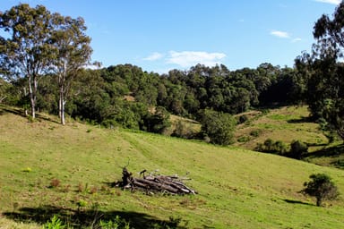 Property 2425 Pine Creek Road, BENTLEY NSW 2480 IMAGE 0