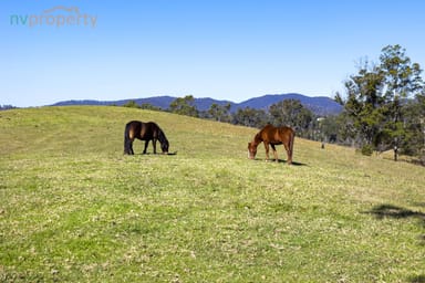 Property 173 Lemans Road, Yarranbella NSW 2447 IMAGE 0