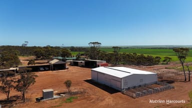 Property 5670 Soldiers Road, West Holleton WA 6369 IMAGE 0