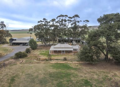 Property 'Lucerne Park' Booborowie Rd, Booborowie SA 5417 IMAGE 0