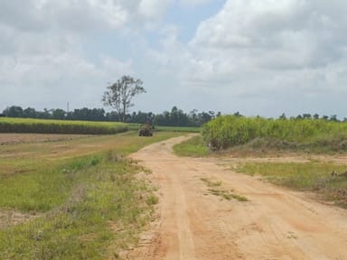 Property Lot 1 Jack Evans Drive, SILKY OAK QLD 4854 IMAGE 0