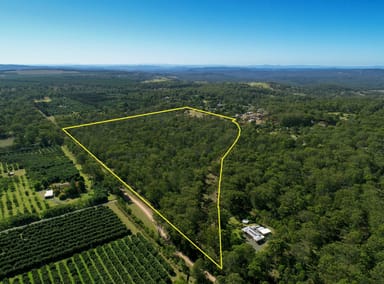 Property Lot 1 Hampton Road, Hampton QLD 4352 IMAGE 0