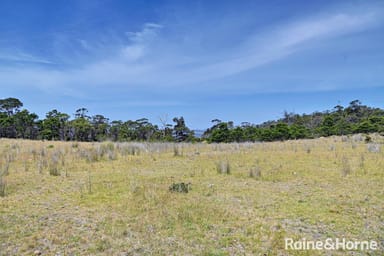 Property Lot 1 Bresnehans Road, Little Swanport TAS 7190 IMAGE 0