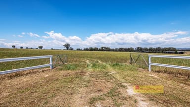 Property 215 Black Lead Lane, Gulgong NSW 2852 IMAGE 0