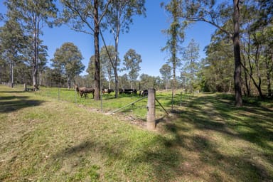 Property 306 Orara Road, LANITZA NSW 2460 IMAGE 0