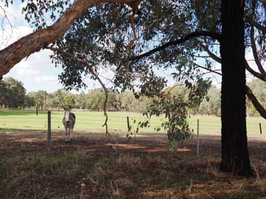 Property CA 7-10 Ennis Street, Amphitheatre VIC 3468 IMAGE 0