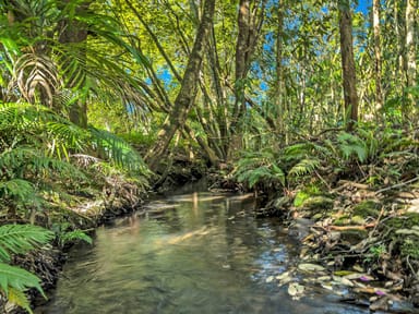 Property 118 North Island Loop Road, UPPER ORARA NSW 2450 IMAGE 0