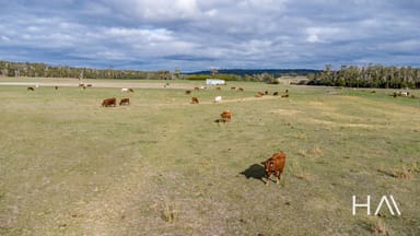 Property 93 Douglas Road, Lefroy TAS 7252 IMAGE 0