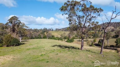 Property Lot 23 Hillyards Road, Boorabee Park NSW 2480 IMAGE 0