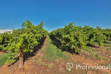 Property Level (Lot 2, PS911361M)/Cnr Twentieth Street & Boobook Avenue, Cardross VIC 3496 IMAGE 0