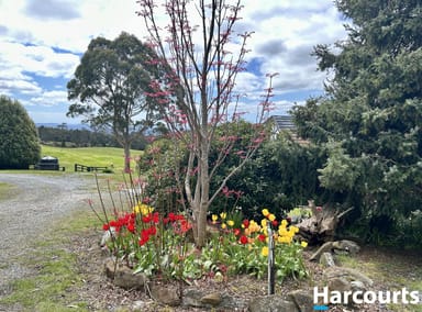 Property 1001 Holwell Road, HOLWELL TAS 7275 IMAGE 0