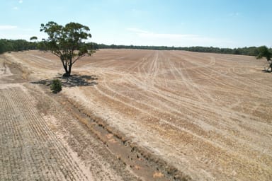 Property Kurting-Powlett Road, POWLETT PLAINS VIC 3517 IMAGE 0