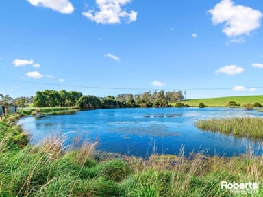 Property 449 Chapel Road, Sassafras TAS 7307 IMAGE 0