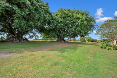 Property 350 Knockroe Road, NORTH ISIS QLD 4660 IMAGE 0