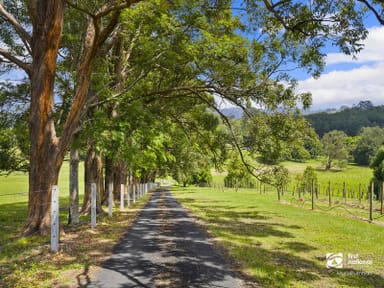 Property 1283 Urliup Road, Dulguigan NSW 2484 IMAGE 0