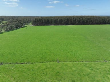 Property 260 Swan Marsh-Stonyford Road, Pirron Yallock VIC 3658 IMAGE 0