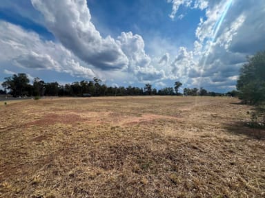 Property Lot 5 & Lot 6, Hookswood Pelham Road, Miles QLD 4415 IMAGE 0