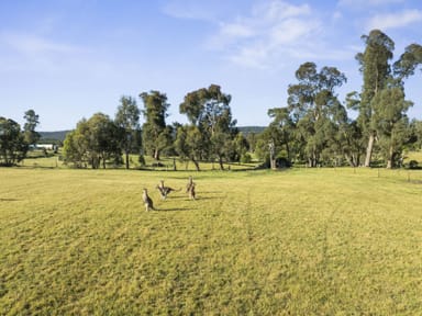 Property Lot 2 Wombat Lane, Tolmie VIC 3723 IMAGE 0