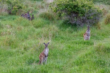 Property Lot 201 Upper Penneys Hill Road, Onkaparinga Hills SA 5163 IMAGE 0